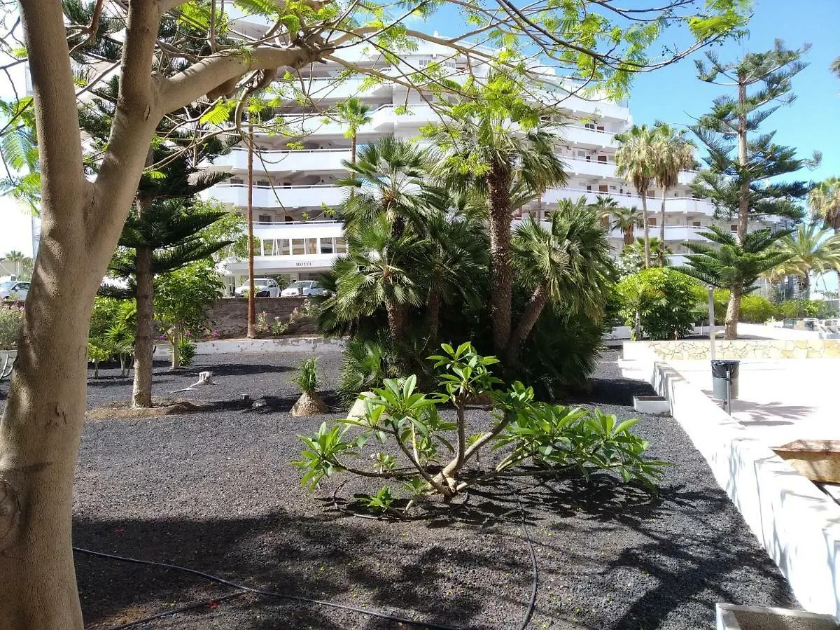 Apartment Ferienwohnung Vina Del Mar Playa de las Américas Spanien